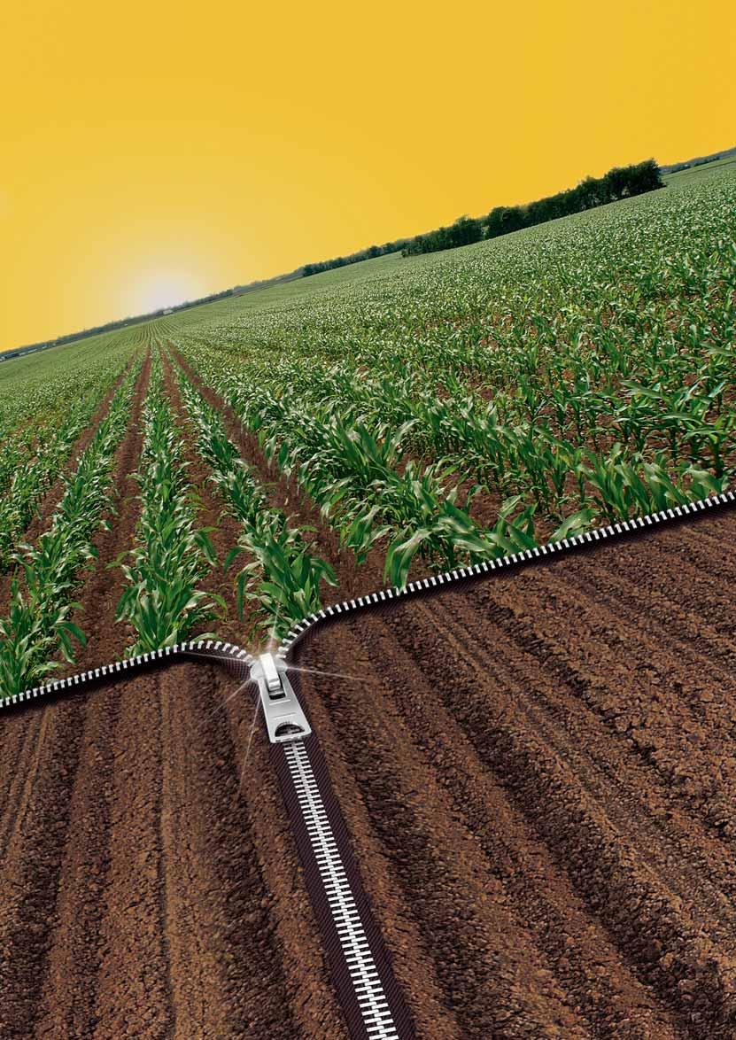 Nový herbicid pro snadnou ochranu kukuřice Vytvoří