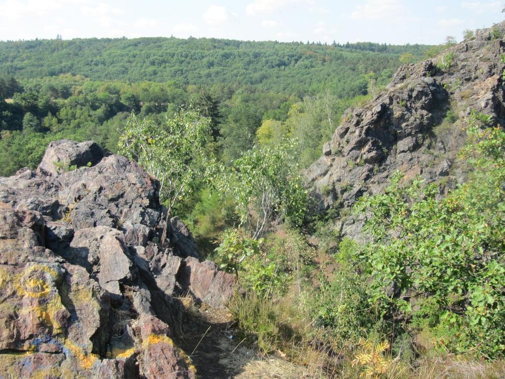 Okolo skal rostou suťové lesy, které tvoří javor mléč a klen nebo jasan ztepilý.