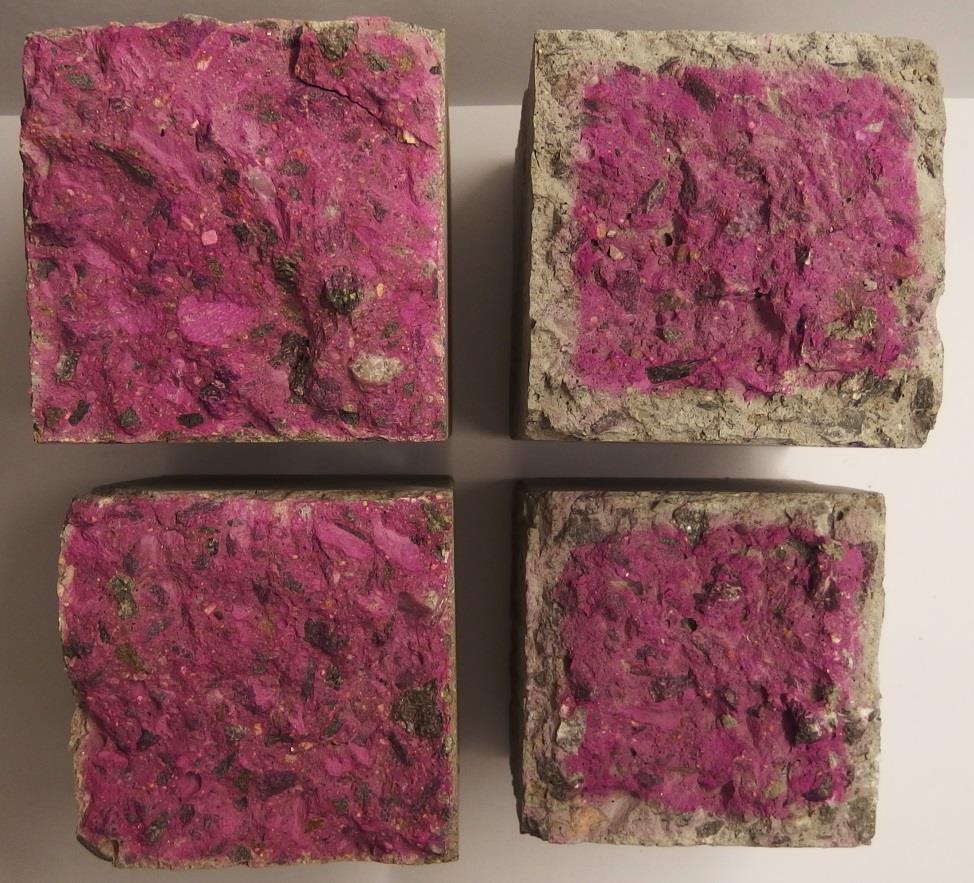 Obr. 38 Lomové plochy vzorku cementového betonu (vlevo) a AAM (vpravo) zbarvené fenolftaleinem po 56 dnech testu urychlené karbonatace Ze získaných dat vyplývá, že při použité metodě vykazuje AAM