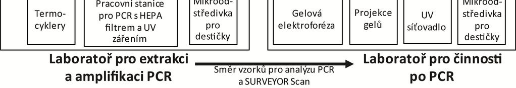 Příloha A A.4 Uspořádání laboratoře pro testy PCR V zájmu získání spolehlivých a nekontaminovaných výsledků PCR dodržujte při přípravě laboratoře pro PCR správnou laboratorní praxi.