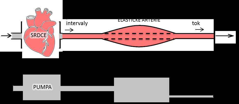 3. 3D-0D modelování proudění krve Obrázek 7: Tok krve tepenným systémem (nahoře) a analogický systém navržený Otto Frankem využívající Windkessel efekt (dole).