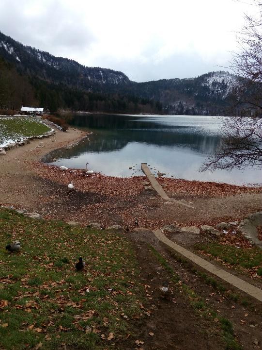 Vlastní