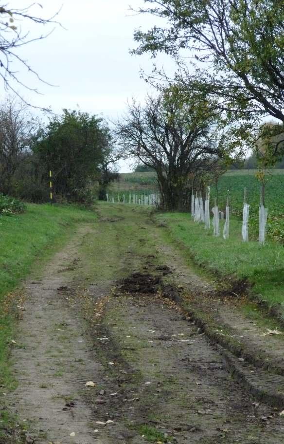 ) oèekáváme ve výši cca 16,1 mil. Kè. Nedaòovou èást pøíjmù (platby za vodné/stoèné, nájmy, služby, tøídìný odpad aj.) odhadujeme ve výši cca 5 mil. Kè. Pøedpokládané celkové pøíjmy do obecní pokladny v pøíštím roce tedy budou èinit cca 21,5 mil.