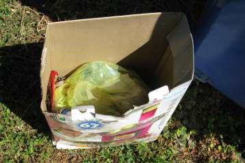 Na mnoha stanovištích po celé obci jsou kontejnery na plast, sklo, papír. Už druhým rokem slouží také kontejnery na bioodpad, obec nakoupila 60 kompostérù, které byly pøidìleny zájemcùm za 1/3 ceny.
