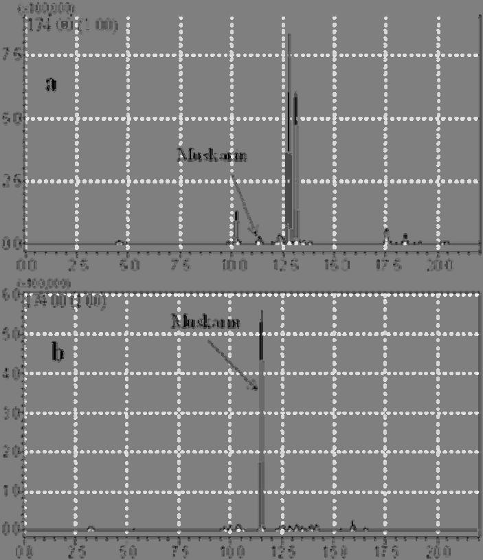její aplikaci v klinické diagnostice. Limit detekce byl 0,9 ng ml 1 a limit kvantifikace 3,0 ng ml 1 pro oba analyty. Výtěžnost extrakce pro -amanitin byla 93 % a pro - amanitin 94 %.