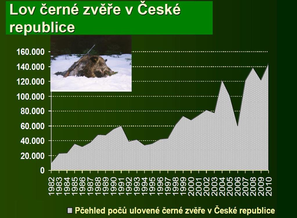 Odlov černé zvěře v České