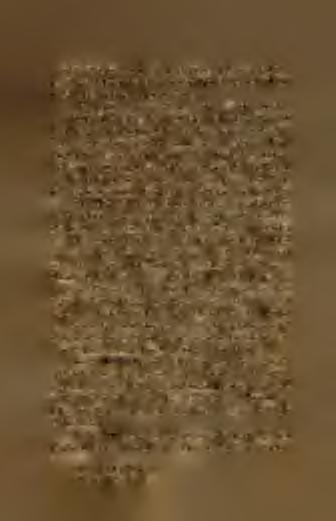 jmenují se v deskách zemských bratři Arkíeb a Bořek, roku 1358, Oneě, Jan a Jindřich ze Zástřizlů, Morkovští ze Zástřizlů připomínají se v XV. století. Tak jsme již uvedli roku 1409.
