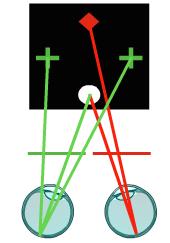 6. Vyšetření a testy na binokulární vidění Binokulární funkce se nejčastěji subjektivně ověřují pomocí bichromatických a polarizačních testů.