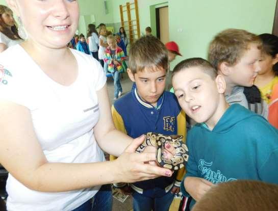 Akce oddělení datum název akce místo počet účast. 30.9. Zábavná akce pro 5. ZŠ DDM 70 3.11. Beseda se včelařem Jahůdka DDM 12 24.11. Beseda se včelařem DDM 16 7.12. Mikulášská pro Jahůdku DDM 16 15.
