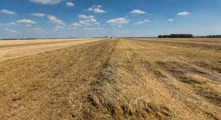 660 6 mm ve 2 řadách. Non stop jištění každého disku pružinovým jištěním vytvářejícím velký tlak (270 kg) na rostlinné zbytky.