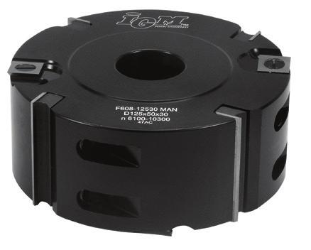 F699-0900555 ALU* 125 x 30 x 30 F608-12130 2 553 3 090 N011-50045 N013-14032 F699-09805 FS200162 FS200169 F699-0900555 * řezná výška 30mm Popis D x l x d (mm) Kód 50x12x1,5 14x14x2 48x8x12 M8x20