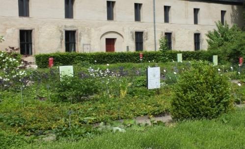De cultura hortorum pěstujeme nejen rostliny, ale kultivujeme i širokou veřejnost Botanická zahrada Praha Německo klášterní zahrady (5 dní) Norsko stáž v muzeu a botanické zahradě (10 dní) Island