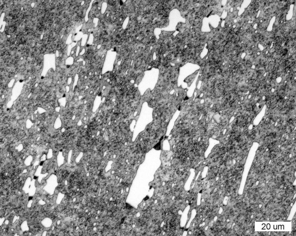 Mikrostruktura legované oceli Martenzit Karbidy chromu ocel X210Cr12 (19 436), 980 C/