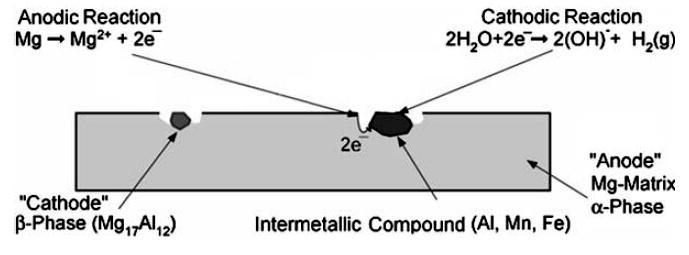 3.2.2 Koroze hořčíkových slitin typu AZ Korozní chování litých hořčíkových slitin záleží zejména na přítomnost intermetalické fáze γ (Mg 17 Al 12 ), přísadových prvků přítomných ve struktuře a na