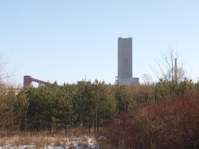 R.P.GEO s.r.o. www.rpgeo.ic.cz Ludvíkova 210, 735 41 Petřvald Tel: 603 261 683, 605 280 832 E-mail: rpgeo@seznam.cz Inženýrská geologie Hydrogeologie Ekologie Biotechnologie E.I.A.