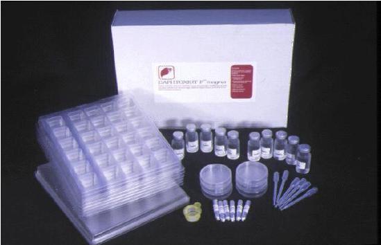 Obr. 8. Daphtoxkit F TM [35] 2.2.11.3 Test inhibice růstu okřehku menším (Lemna minor) 2.2.11.3.1 Testovací organismus Okřehek zařazujeme do oddělení krytosemenných rostlin, třídy jednoděložných a čeledě okřehkovitých.