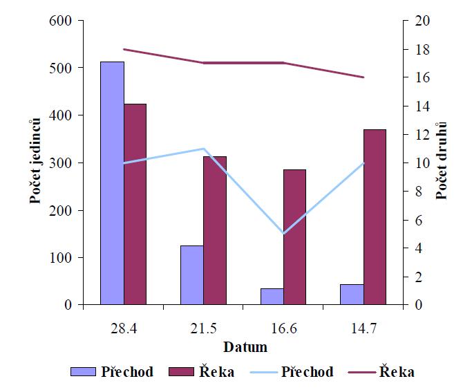 Obr. 45: Porovnání počtů jedinců (sloupce, levá osa Y) a druhů (křivky, pravá osa Y) z přechodu (modré sloupce) a z řeky (vínové sloupce) z různých období.