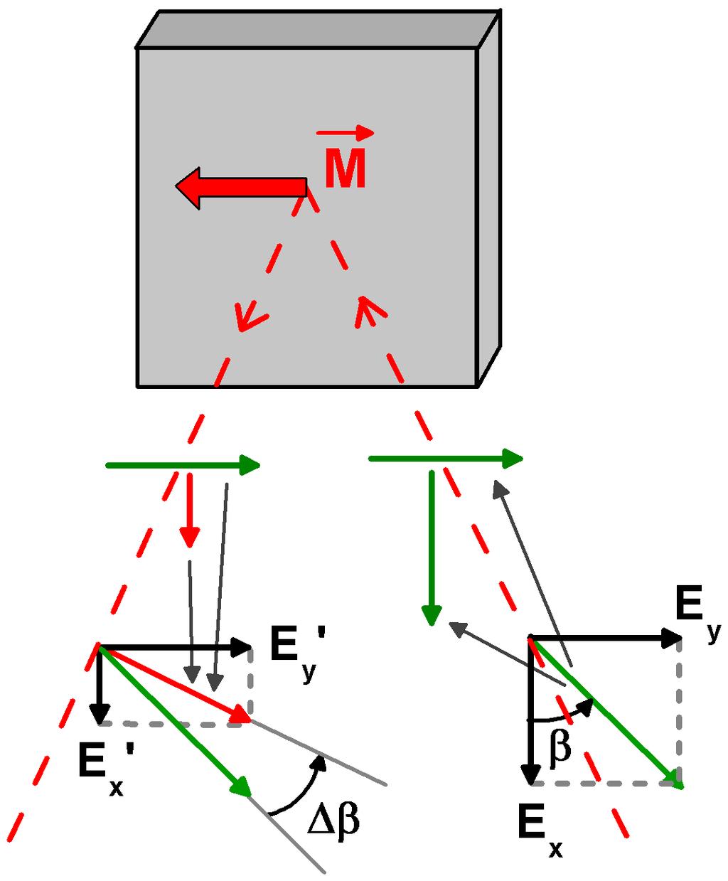 Obr. 3.3 - Schématické znázornění magnetického lineárního dichroismu (MLD).