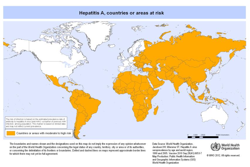 Virová hepatitida A RNA virus Picornaviridae Nákaza fekálně-orální cestou virus vylučován stolicí zejména v prodromální fázi, parenterální přenos vzácný Zdroj nákazy: kontakt s infikovanými osobami