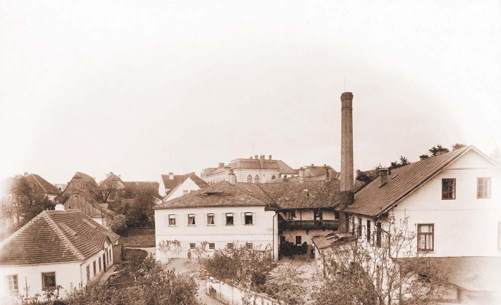 Jindřich Kubias st.