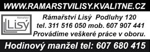 Je vidět, že místní zahrádkáři výstavu připravují s láskou a nadšením. Nápadité aranžmá ještě zvýraznilo pěkné výpěstky.