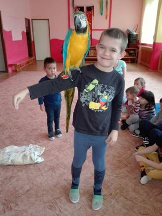 Dětmi velmi očekávanou návštěvou byl Mikuláš s jeho pomocníkem čertem. Všechny třídy měly připravené básničky a tanečky, za které je Mikuláš obdaroval sladkostmi.