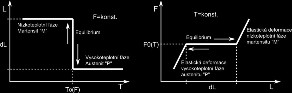 V případě, kdy by MT a zpětná MT (symbolem /P/ je označována vysokoteplotní astenická fáze z anglického názvosloví Parent phase, symbol /M/ označuje nízkoteplotní martensitickou fázi) mohla probíhat