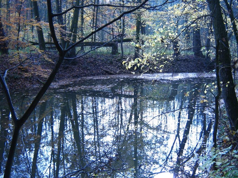 Labe, Ohře a Vltavy Lokality tůní v Polabí Lysá nad Labem