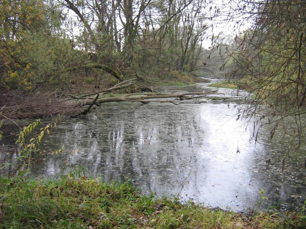 Lokality tůní v