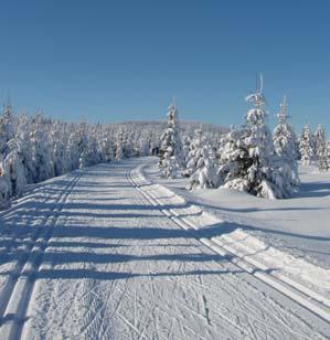 r.o. 10 000 Kč Ski a Bike Centrum 10 000 Kč Webberger CZ 10 000 Kč Nadace Preciosa 10 000 Kč Radotín J. Maděra 3 000 Kč OK Sport 5 000 Kč M. Kupková 5 000 Kč F. Pálek 5 000 Kč P. Klenor 2 000 Kč R.