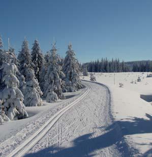Přijaté provozní dotace v roce 2011 Poskytovatel dotace Částka (v tis. Kč) Liberecký kraj 610 Jablonec n. N.