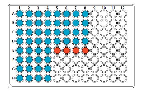 4.4.2 Real-time PCR DNA extrahovaná z mléka byla použita pro detekci bakteriálních původců mastitid. Detekce byla prováděna po 20 vzorcích.