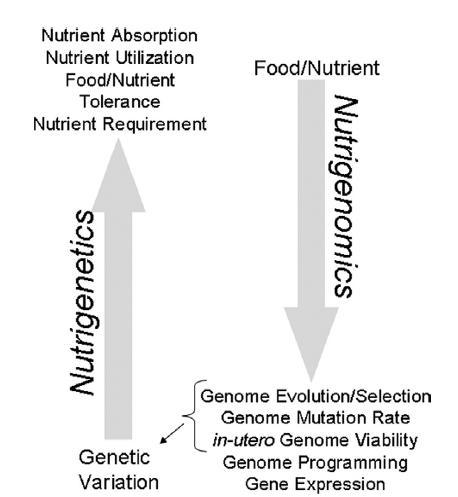 Interakce živin a genomu Nutrigenetika vliv genetických variant na požadavek, utilizaci, toleranci a metabolismus živin vs.