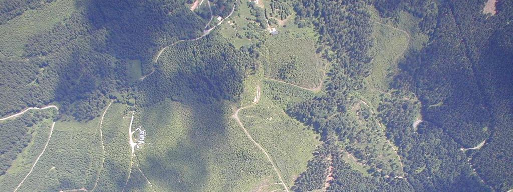Experimentální lokalita Bílý Kříž Experimentální porost foot-print area:.5km 2 vertikální distribuce 4.