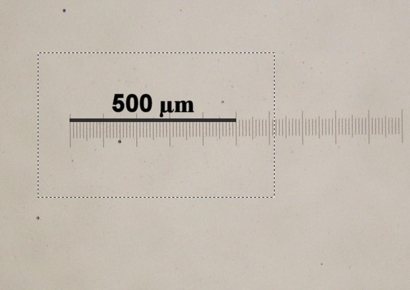 7) S pomocí obr. 4 zhotovte kalibrační úsečku. Nejprve zvolte její vhodnou délku (zde 500 μm). Do obr.