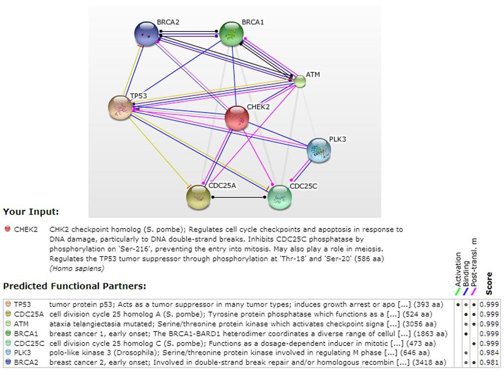 Obr. 7. Predikce interakčních partnerů kinázy kódované genem CHEK2 pomocí nástroje STRING (Search Tool for the Retrieval of Interacting Genes/Proteins; http://string.embl.de). 4.