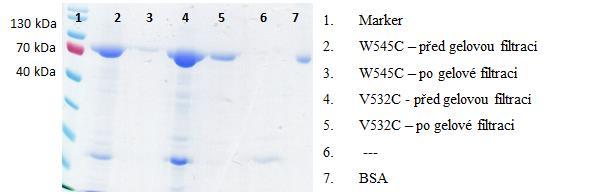 Před zvolením této metody jsem použila jiné běžnější a přesnější metody stanovení koncentrace proteinů jako je spektrofotometrické stanovení při 280 nm, nebo stanovení pomocí NanoDrop.