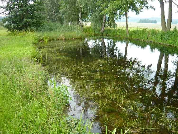 Částečná obnova jezírka