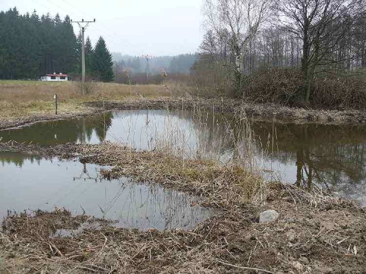 prořezávkyrepubliky u