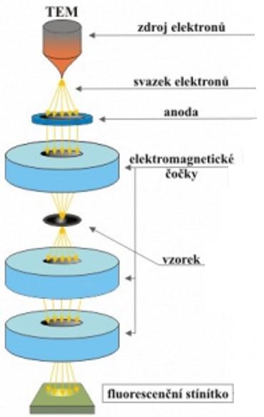 1.2 Transmisní elektronový mikroskop (TEM) Transmisní elektronový mikroskop využívá k získání signálu elektrony, které prochází zkoumaným vzorkem nebo na vzorku difraktují a vytváří na fluorescenčním