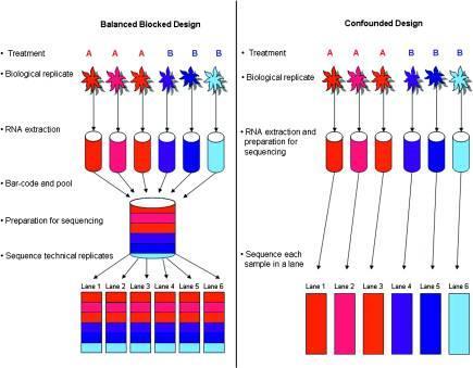 Schéma. č. 2: Znázornění používaných designů RNAseq experimentů; převzato z (Auer and Doerge, 2010).