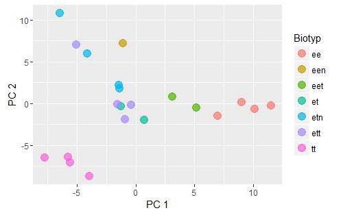 Graf č. 14: PCA plot znázorňující vzájemnou similaritu mezi vzorky jater při vybrání dvou hlavních komponent. PC 1 vysvětluje: 22 %; PC 2 vysvětluje: 16 % variability Graf č.