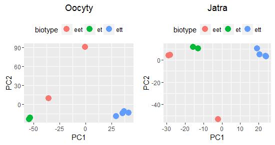 Graf č. 47: PCA dvou hlavních komponent srovnání vektorů P hodnot všech diagnostických SNP vzorků jakter a oocytů.