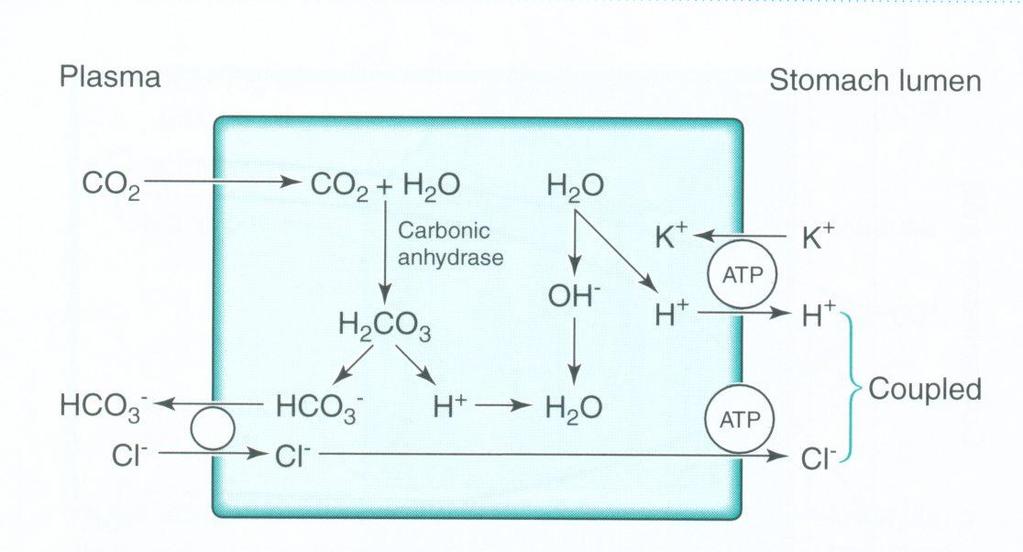 Mechanismy