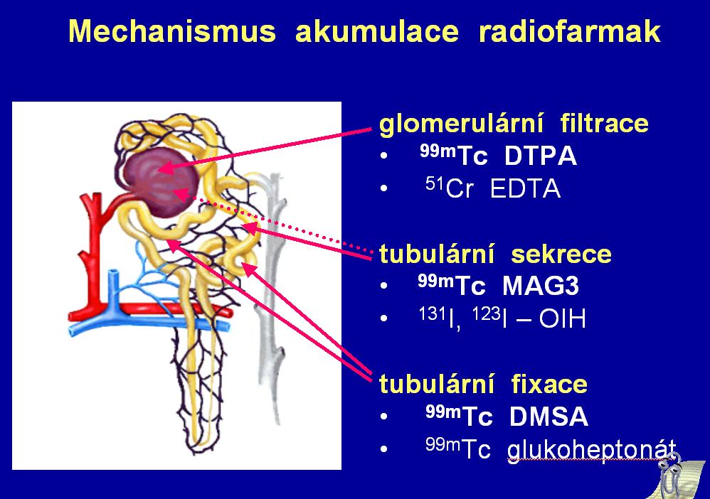 Mechanismus akumulace radiofarmak obr.č.