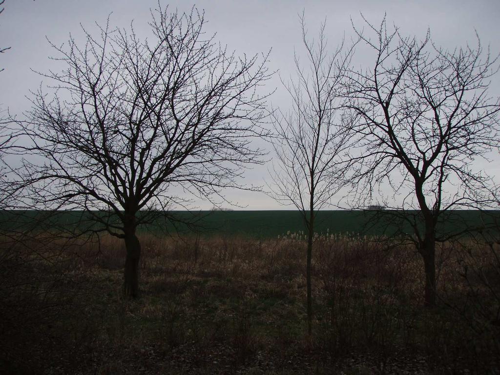 Rybníček