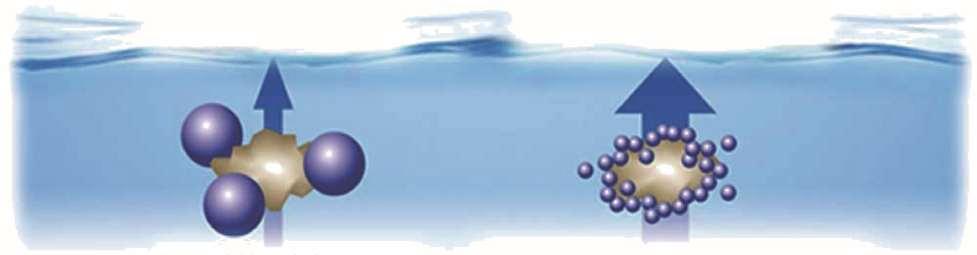 3 FLOTAČNÍ EFEKT Když se mikro- a nanobubliny dobře navážou na tuky díky negativnímu náboji na svém povrchu, vygeneruje se lehký kal vzduch tuky, který má tendenci být vynášen směrem k vodní hladině.