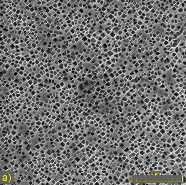 Obr. 4.3. Mikrostruktura IN713 LC při 800 C, σ a = 200 MPa, N f = 9,84x10 5 (REM, SE a BSE).