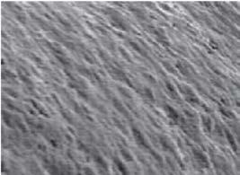 Mikroskopická vrstva TiCN Mikroskopická vrstva TiCN, která se vyznačuje vysokou odolností proti opotřebení, zpomaluje opotřebení na hřbetu.