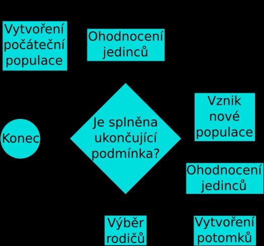 Obrázek 2.2: Schéma evolučního algoritmu Deterministická selekce vybrán příslušný počet jedinců s nejvyšší hodnotou fitness (obr. 2.3).